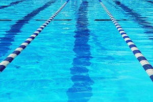 LenzPolitics calls for investigation after 30 swimmers exposed to ...